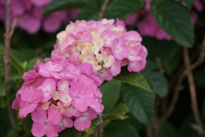 20150617_02_001