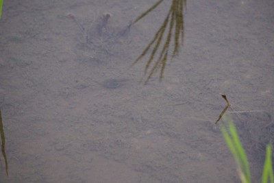 20150617_02_005