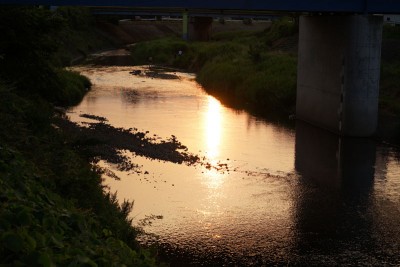 20150625_01_007