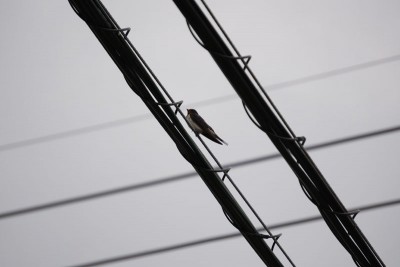 20150627_008