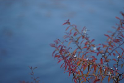 201512202_003