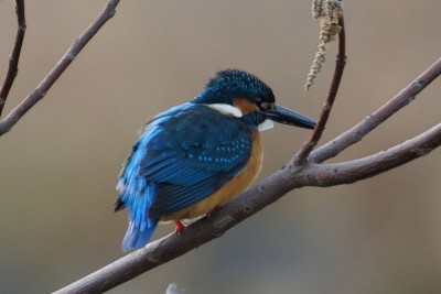 20151221_002