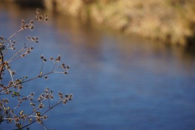 201512262_002