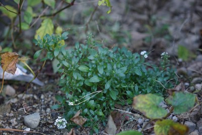 201512262_006