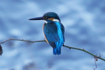 20151226_011
