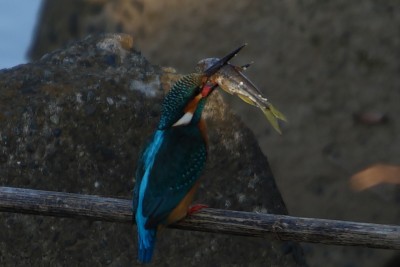 20151227_002