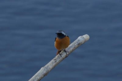 20151227_009
