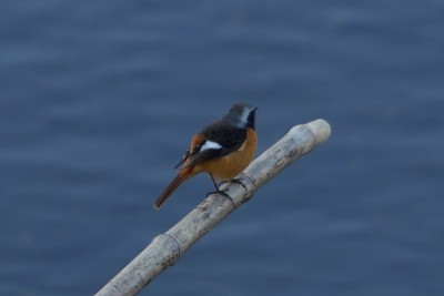 20151227_010