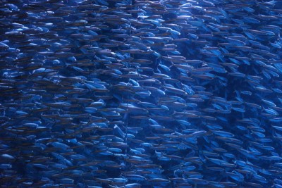 20151230_2-007