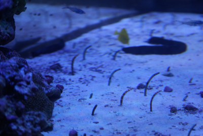20151230_2-010