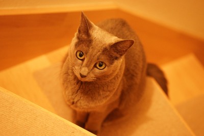 201512_15_002