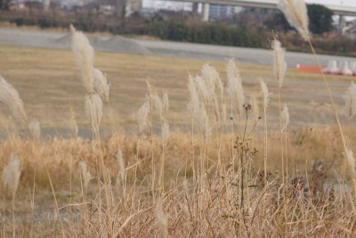 201601052_002