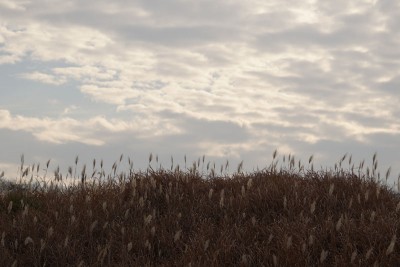 201601052_003