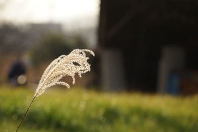 201601052_005