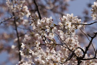 20160330_001