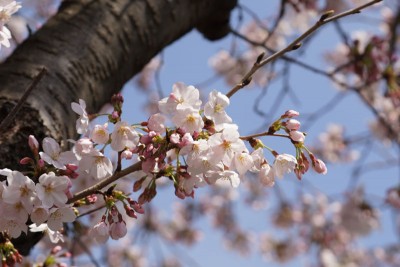 20160330_002