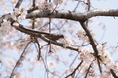 20160330_005