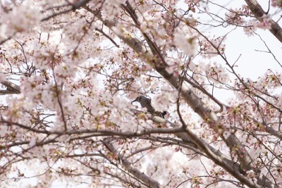20160330_006