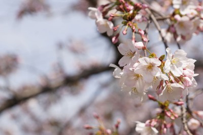 20160330_007