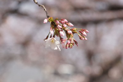 20160330_008
