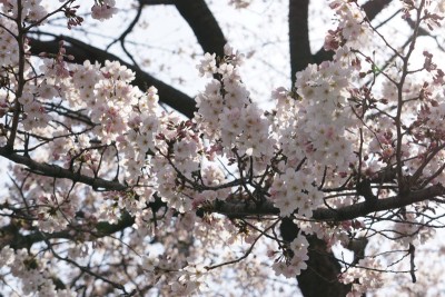 20160330_010