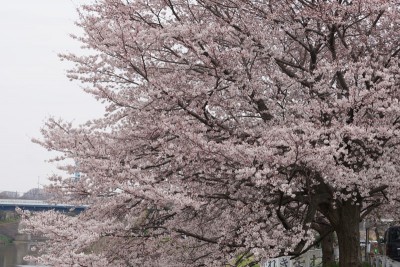 20160401-002