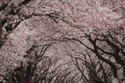 20160401-004