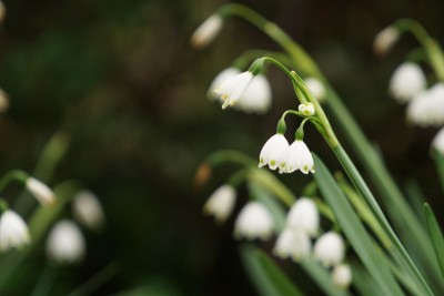 20160401-005