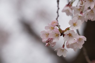 20160401-006