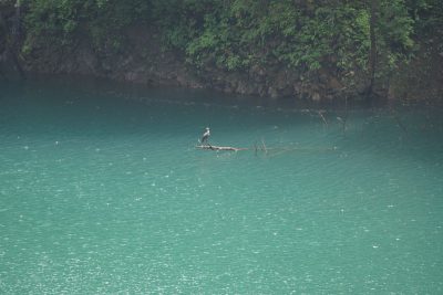 20160502_002