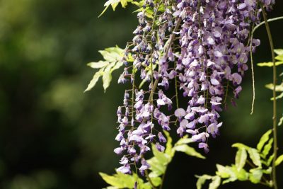 20160502_003