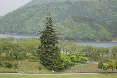 20160502_008