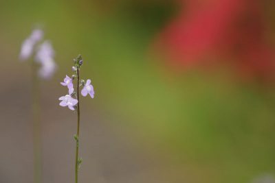 20160502_009