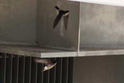 20160502_024