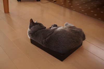 20160813_001