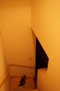 bkm201411_002