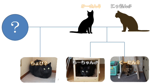 cat03