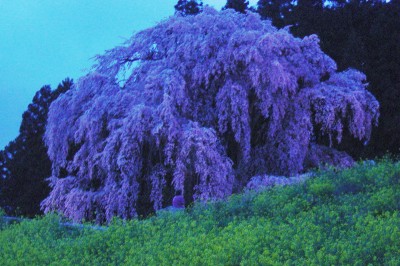 kassenba_004