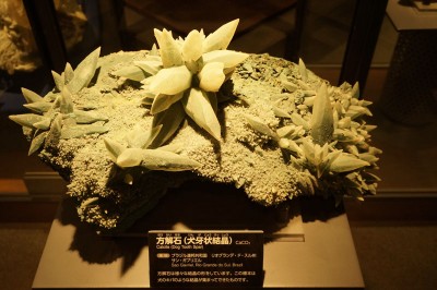 osu201411_009