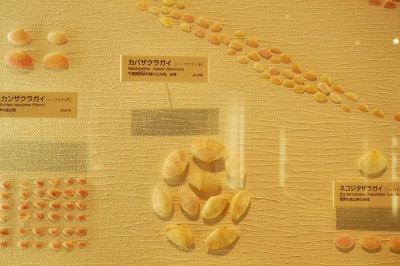 osu201411_022