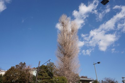 repo_hke2014_003