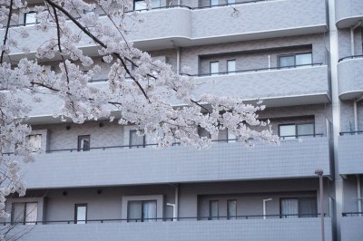 repo_hpp2014_003