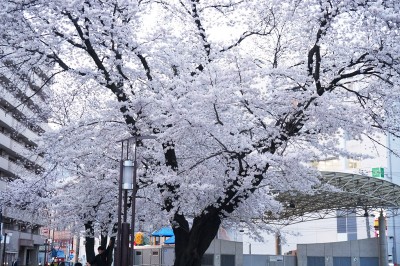 repo_hpp2014_004