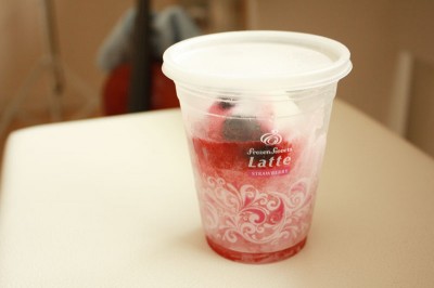 repo_ice2013_01