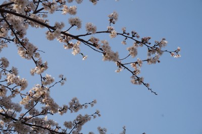 repo_kak2014_025