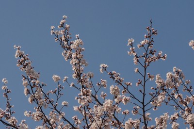 repo_kak2014_029