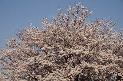 repo_kak2014_034