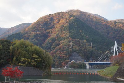 repo_tzw2013_008
