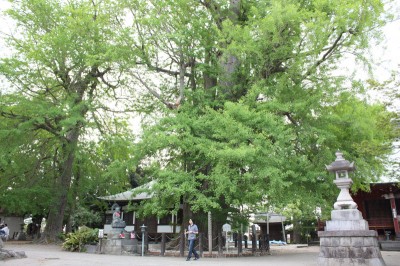 syoufuku_002