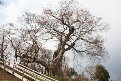 takase_006